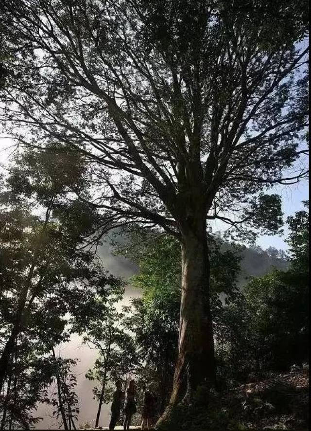 重庆城边上的