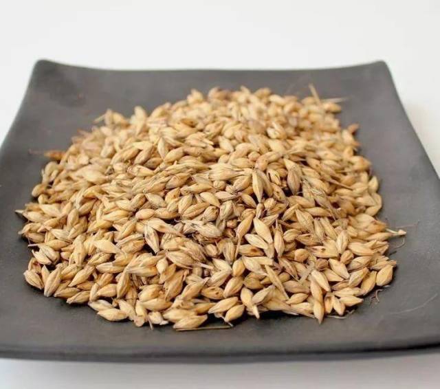 生麦芽具有健脾和胃,疏肝行气的功效.用于脾虚食少,乳汁郁积.