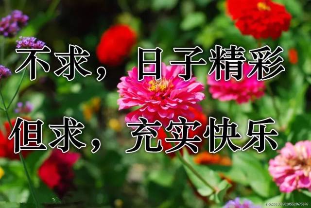 健康永远 开心快乐,认识你真好 人生知足常乐  愿你的人生充满精彩