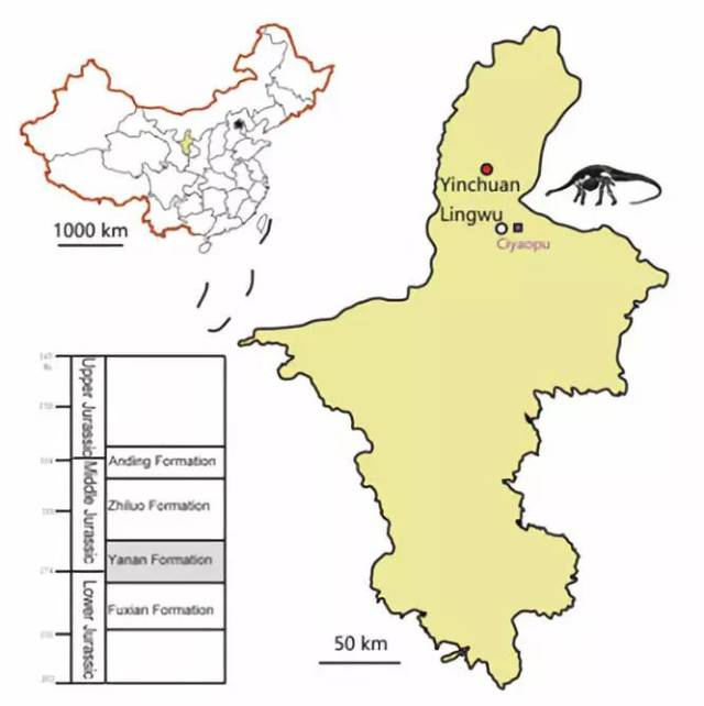 本次化石发现地:中国宁夏回族自治区银川市灵武地区 图片来源:参考