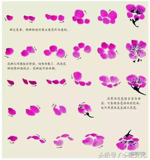 点花时要注意花瓣的造型和透视,等快干时画花蕊,染花心.