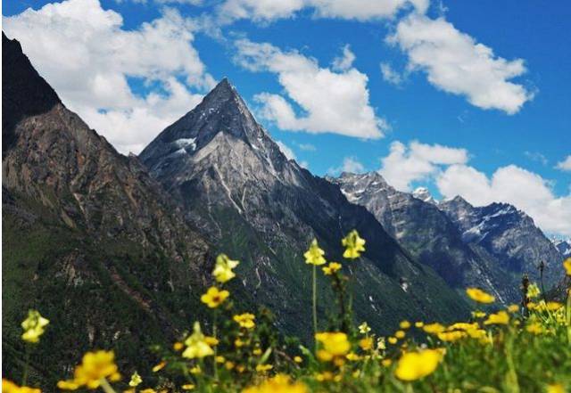 卧龙甘海子位于汶川卧龙保护区,是一片高山草甸.现在有三个海子相连.