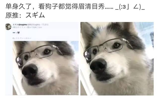 单身久了,我看什么都觉得眉清目秀