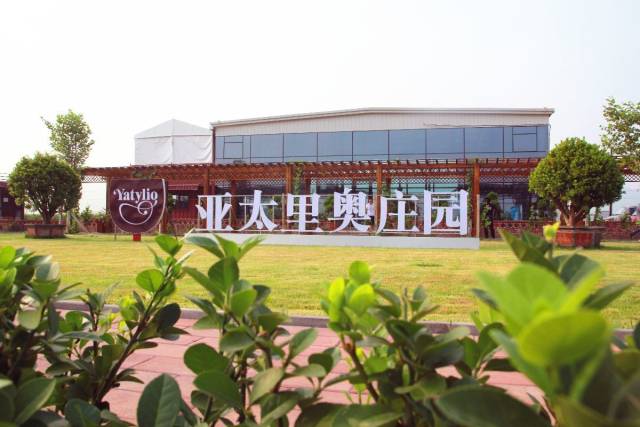 亚太里奥庄园花海五彩缤纷,最美乡村山里各庄荷我心!