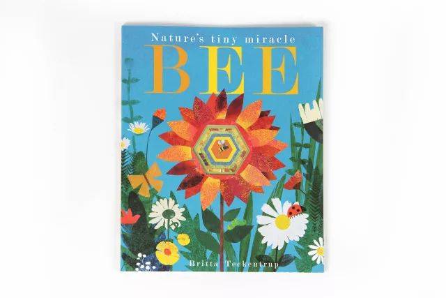 山是什么样的绘本 7dc43935783541beb45e5ee6d9a6fbe8.jpeg