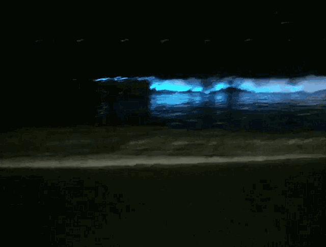 听说能够看到荧光海的,都是被幸福青睐的人.