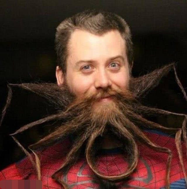 搞笑内涵图:夕阳西下,二哈与马,多么美的画面啊!