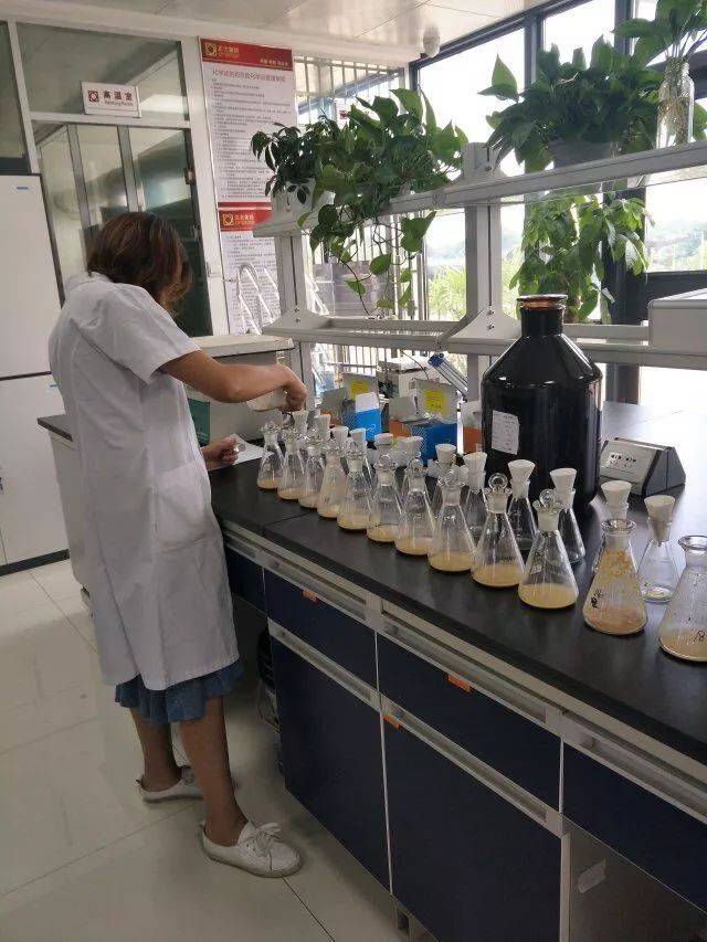 耕读路上 | 华中农业大学赴武汉正大阳逻饲料工