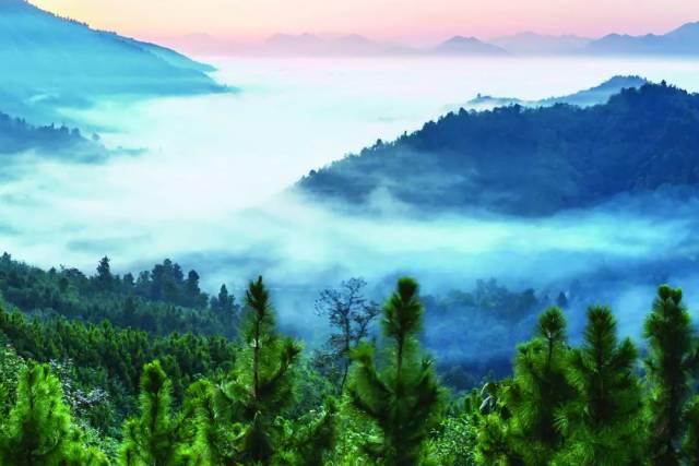 梦龙 龙里龙架山