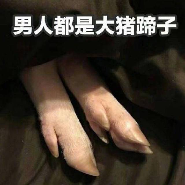 骂男人表情包大全:男人都是大猪蹄子