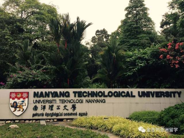 ntu新加坡南洋理工大学那些【中文授课】的专业