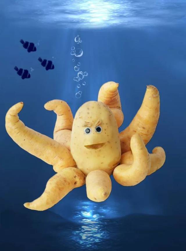 奇食录 | 蔬果界一年一度的戏精大会开始啦!