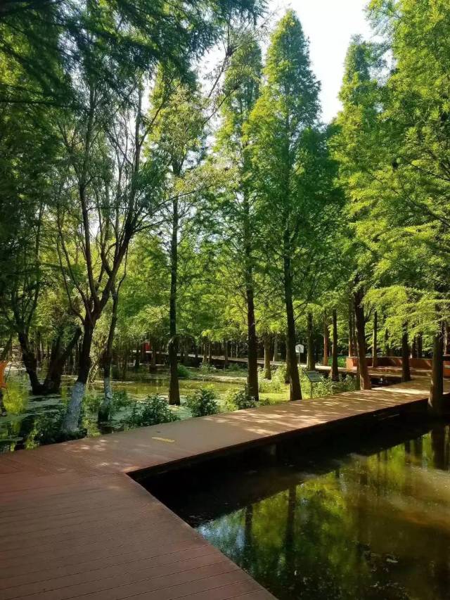 by:捞鱼河湿地公园