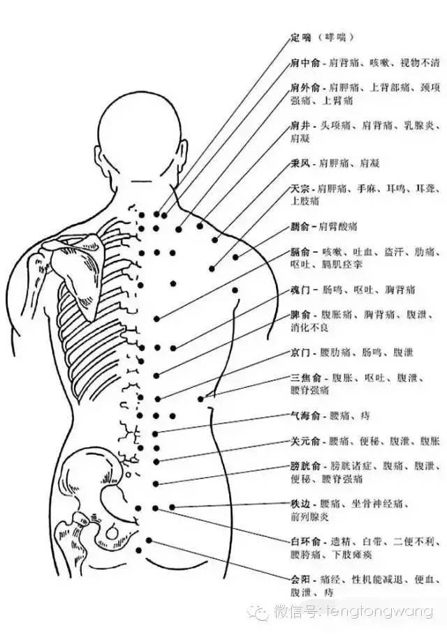非常完整的人体穴位图与功效