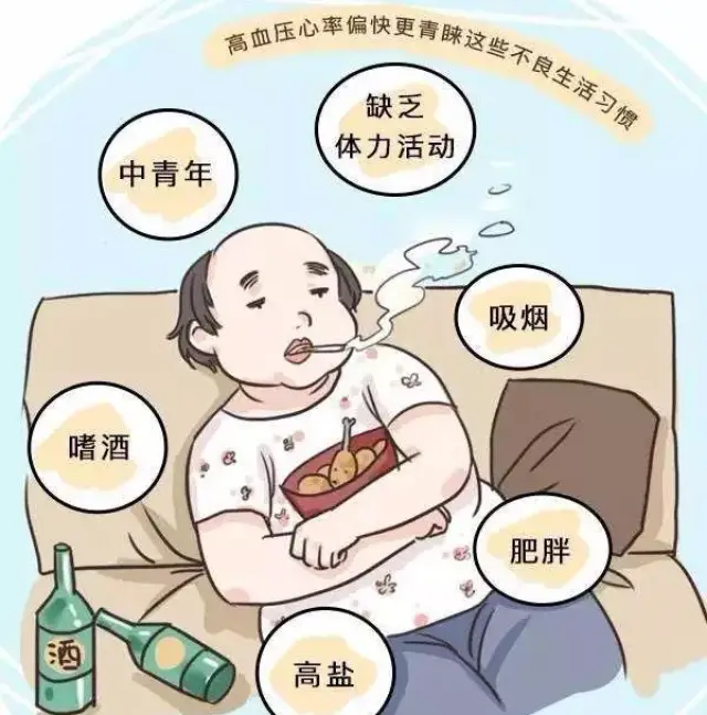 科学证实:配方茶可以降血压!教您高血压不吃药,远离并发症