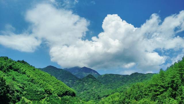 江西省抚州市南丰县市山镇沙岗村马溪组军峰山脚下龙王窟-闯溪流