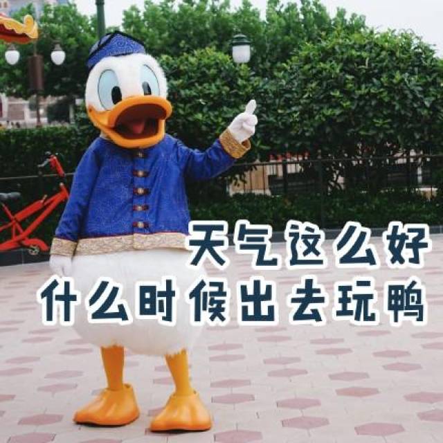 唐老鸭表情包大全54p