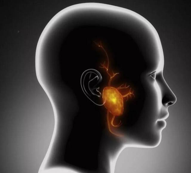 耳朵嗡嗡响怎么回事,专家教你判断神经性耳鸣的8个方法
