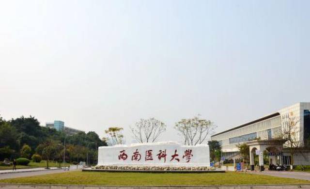 在西南, 川大华西医学院,重庆医科大学都比西南医科大学强,川北医学