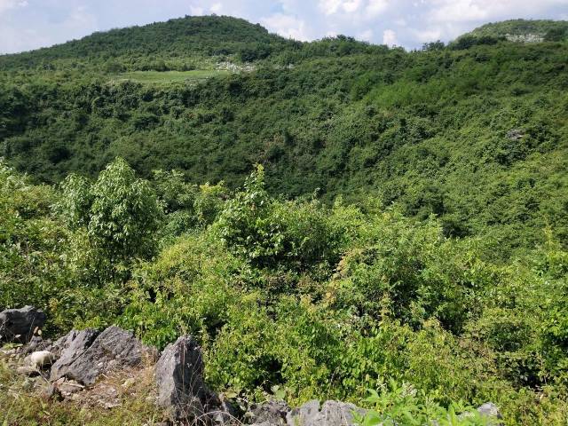 桂北天坑群落所在地石盆村:全州两大奇观之一