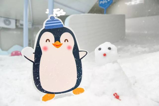 九亭旁边的梦幻冰雪乐园终于来了!滑雪,冰壶,企鹅,带你一秒降至冰点!