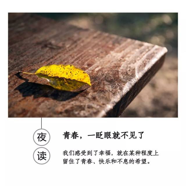 夜读| 青春,一眨眼就不见了_手机搜狐网