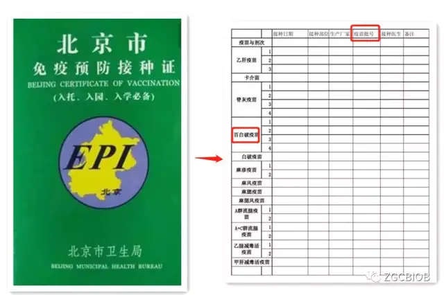 1,找到孩子的免疫预防接种证(绿皮的),并找到此前注射疫苗的批号.