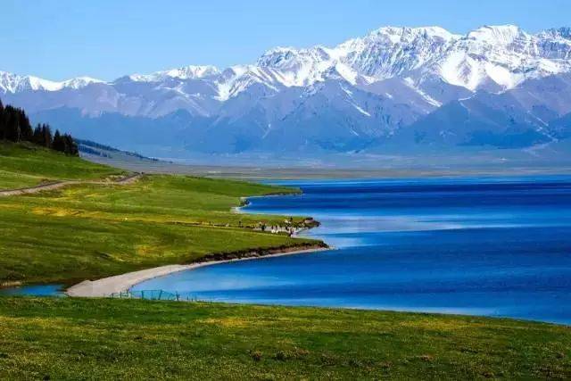 满眼都是绿色的大草原,都是为你穿的保护色!