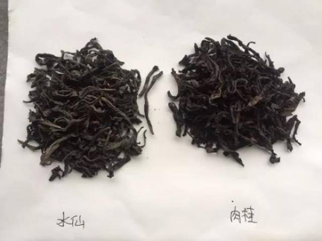 怎样鉴别岩茶的种类,如何挑选好的岩茶