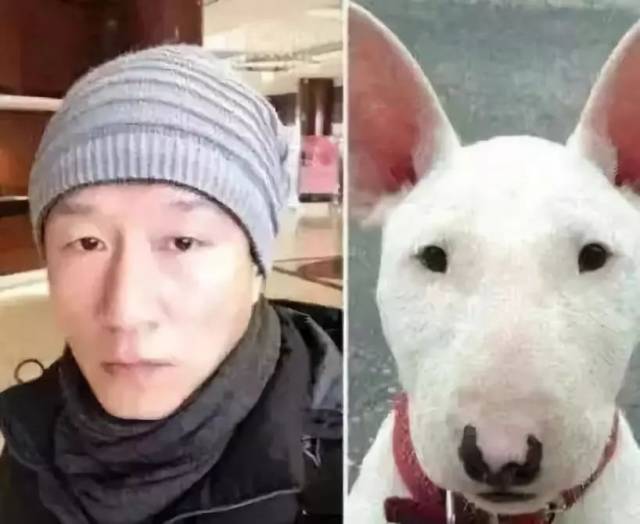 孙红雷一直自诩为孙漂亮,但是大家发现他和牛头梗长得很像.