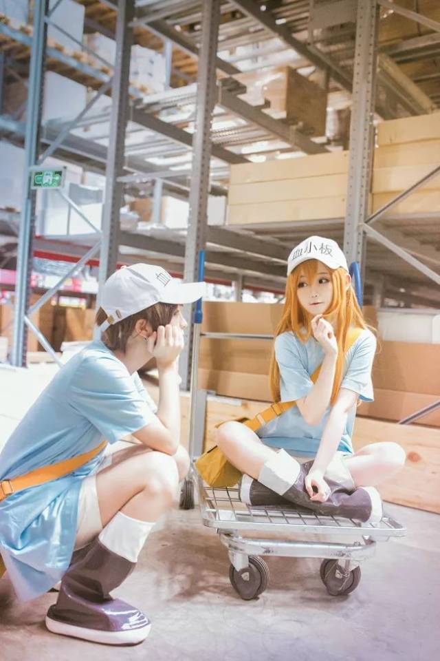 工作细胞 红血球 白血球 血小板 cosplay