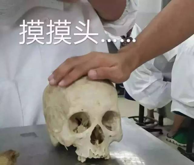 各个专业表情包盘点 | 你的专业也有自己专属表情包吗