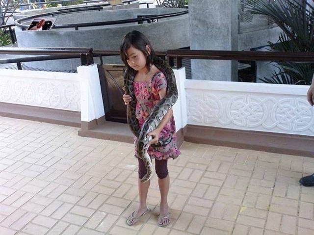 趣图分享:会柔术的妹子身材就是好