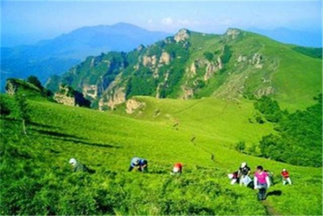 景点介绍 东灵山风景区即北京市门头沟灵山风景区,面积60平方公里