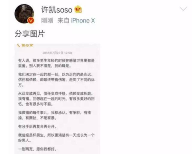 人红是非多许凯被爆家暴过大金出轨过白鹿公司辟谣