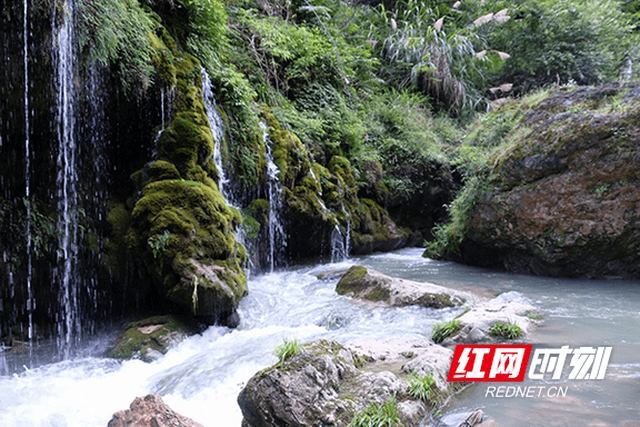 盛夏时节 凤凰乌巢河峡谷美景如画