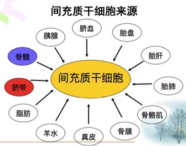厦门出入境检验检疫技术中心：未来趋势与发展展望