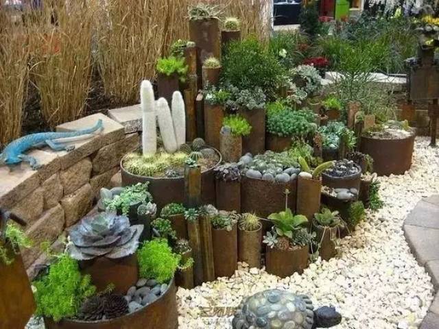 50款 · 多肉植物景观造型场景应用