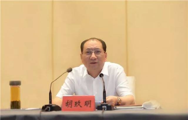 胡玖明在讲话中强调了实施乡村振兴战略过程中需要防止和克服的10个