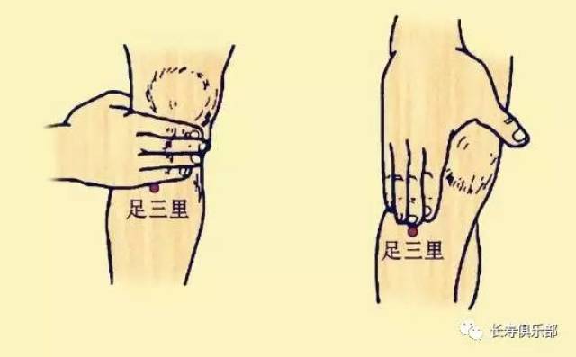 小腿前外侧,膝盖外侧的凹陷(外膝眼)处向下三寸(大约是四横指),在胫骨