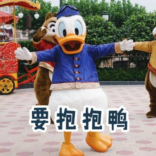 打招呼表情包:早上好鸭,你在干嘛鸭,哈喽鸭,今天吃什么鸭