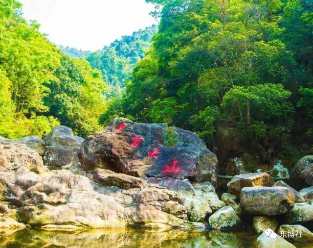 广西十万大山国家森林公园 国家 aaaa 级景区图片