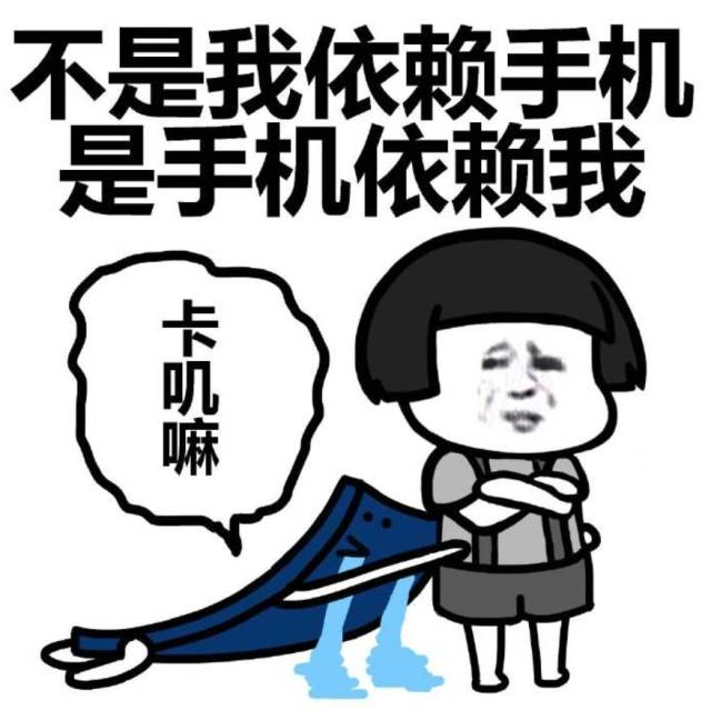 总结:是表情包说尽了我们这一年的酸甜苦辣……_手机