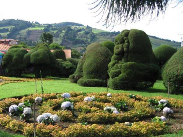 25个"植物造型"花园景观设计,网友直呼:植物的艺术!