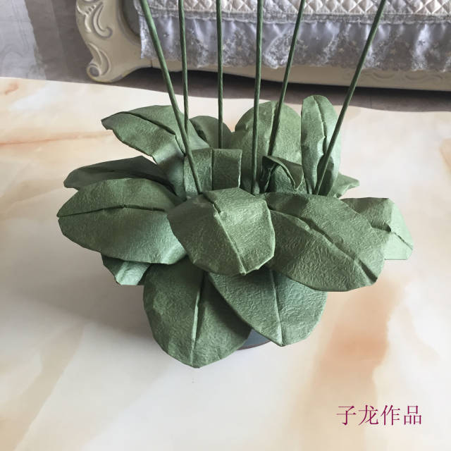 好多客户建议我下一个作品折梅花,蝴蝶兰,洋桔梗,或者是折纸花,你们