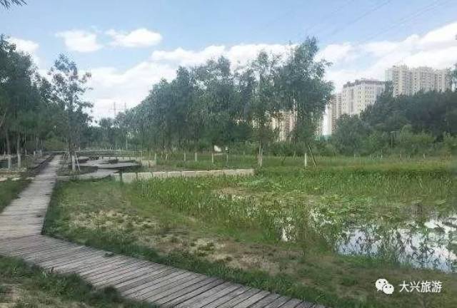 余亩,继续加大公园建设力度,重点推动孙村公园,长子营湿地公园等建设