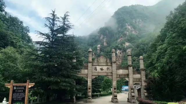 洛阳要火!这两天,发生在栾川,嵩县的真实一幕令人震撼