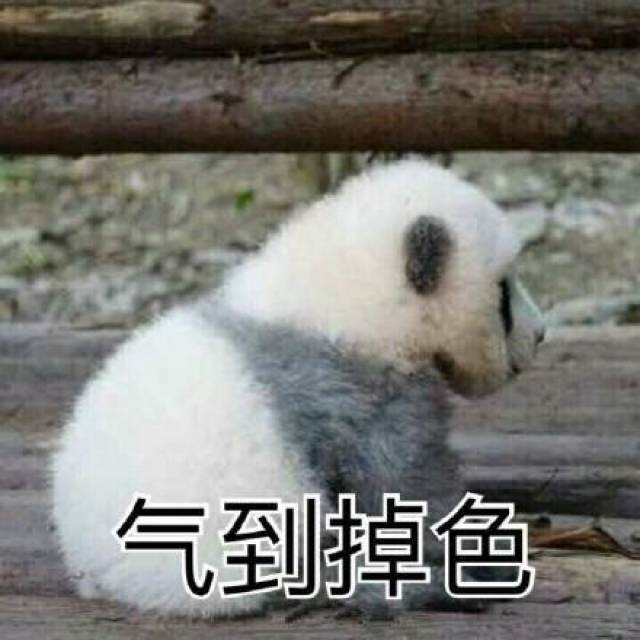 土狗路边瞎溜达,却引起网友注意,这是出门没洗脸吗?