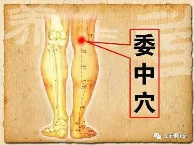 定位:腘窝横纹中点,当股二头肌腱与半腱肌腱的中间.