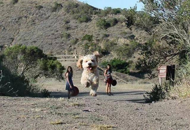 强迫透视的照片要怎么拍?